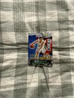 Item thumbnail for item 445e7ee7-66ff-48d8-a59d-e45d46334f55