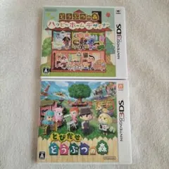 とびだせ どうぶつの森 ハッピーホームデザイナー 2点セット