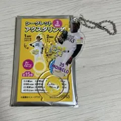 終盤戦 シークレットアクスタリング　モイネロ　福岡ソフトバンクホークス
