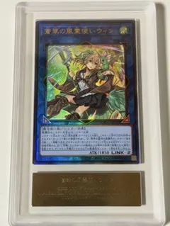 遊戯王 蒼翠の風霊使いウィン レリーフ ARS10+ Amazon.co.jp: 遊戯王カード 蒼翠の風霊使い ウィン(25th シークレット