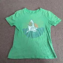 GAP KIDS サメデザイン Tシャツ L 緑　140