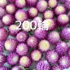 Item thumbnail for item de3f9013-78a9-49f9-929c-70d3540ce92a