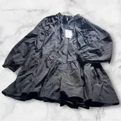 ✨新品タグ付き✨ロデオクラウンズ フリルブラウス　シャツ　ブラックF