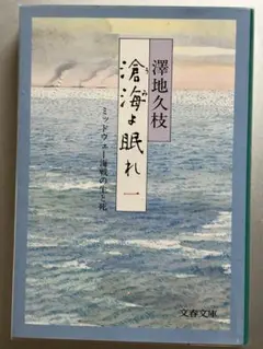 滄海（うみ）よ眠れ　１～５巻セット　 澤地久枝 Amazon.co.jp: 滄海(うみ)よ眠れ―ミッドウェー海戦の生と死〈1