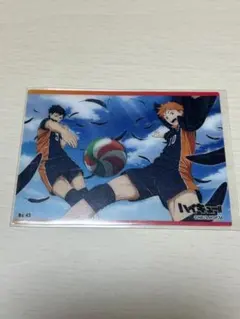 ハイキュー!! 日向翔陽 影山飛雄 クリアカード
