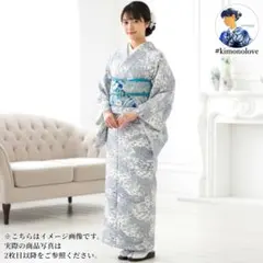 単衣着物 小紋 正絹 ちりめん 茶屋辻 オフホワイト ビンテージ A-2846