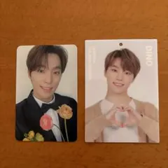 SEVENTEEN ディノ　トレカセット