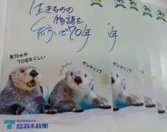 鳥羽水族館 70周年 ラッコ キラ メイ ポストカード 2種 - メルカリ