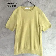 evam eva シルク混 半袖サマーニット 綿 絹 40 M 淡緑のサムネイル