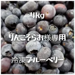 【りんこそらお様専用】冷凍ブルーベリー4kg