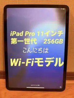 【早い者勝ち】 iPad Pro 11 1世代 256GB スペースグレイ