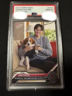 PSA10】 Topps 大谷翔平 デコピン 2023MVP受賞記念 OS19 - メルカリ