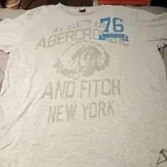 Abercrombie & Fitch Tシャツ グレー Lサイズのサムネイル
