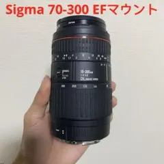 2026年最新】sigma 70-300mm f4-5.6 dl macroの人気アイテム - メルカリ