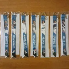 日本ハムファイターズ ボンフィン