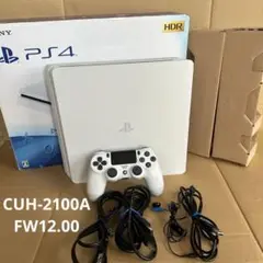 SONY PlayStation4 CUH-2100A B02 印刷物欠品