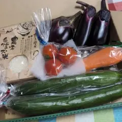 新潟産　従来コシヒカリ(２合)300g　　　　採れたて野菜セット【本日発送】のサムネイル