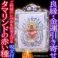 プラクルアン 良縁成就 金運 成功 仕事 評価 愛 タマリンド (呪文付)