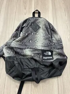 2025年最新】レオパード バックパック supremeの人気アイテム - メルカリ