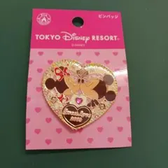 TOKYO DISNEY RESORT ミッキー＆ミニー ピンバッジ 2009