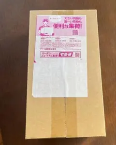 新品未開封 ポケモンセンター ヒロシマ スペシャルBOX　段ボール未開封