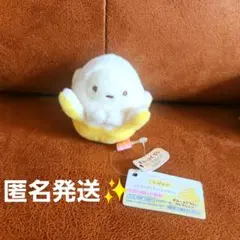 2025年最新】すみっコぐらし ぺんぺんフルーツバケーションの人気