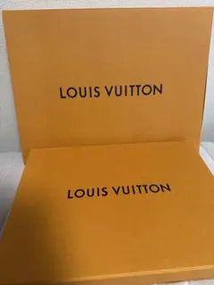 LOUIS VUITTON 箱のみ(2箱セット)