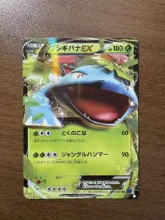 【PSA10】フシギバナEX RR XY1 コレクションX 001/060 PSA10】フシギバナEX RR XY1 コレクションX 001/060 - メルカリ