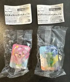 みいつけた！ ミニチュアパッケージチャーム オフロスキー　サボさん