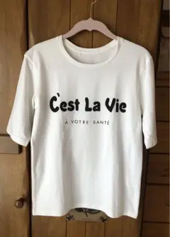 【訳あり⚠️】BABYLONE デンドロビウム　ホワイト半袖　ロゴTシャツ　38
