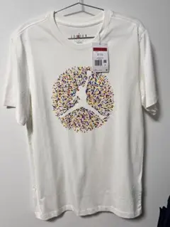 値下げ新品未使用JORDAN ジャンプマン Tシャツ FN6007-100 L