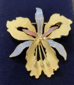 Item thumbnail for item 20a73473-6a18-4e04-be0b-f7d26cd098fa