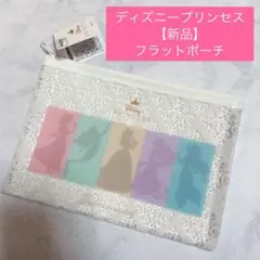 【新品】ディズニープリンセス　フラットポーチ　キャラクター