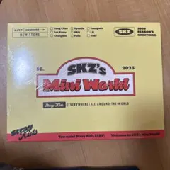 straykids 2023 シーグリ