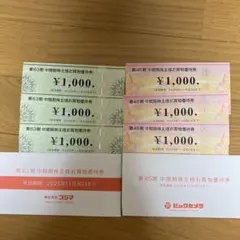 ビックカメラ コジマ お買物優待券 6000円分