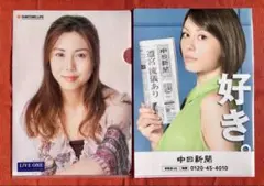 松嶋菜々子 / 米倉涼子 クリアファイル2枚セット