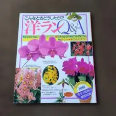 こんなときどうしたら？洋ランQ & A