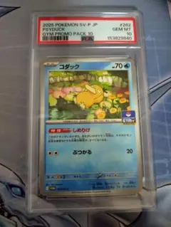 コダック 262/SV-P プロモ PSA10 ポケモンカード 38 コダック 262/SV-P プロモ PSA10 ポケモンカード 38 - メルカリ