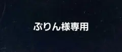ぷりん様専用ビーズ素材6/3