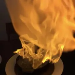 ひよこ様