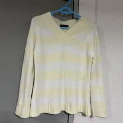 レディース ニット ストライプ