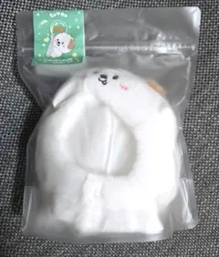 2026年最新】RIIZE ペンライト カバーの人気アイテム - メルカリ