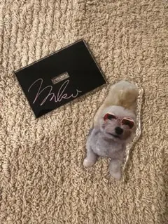 SIMYON 川上桃子　こじこじ　こじろう　アクスタ　犬　ペットグッズ