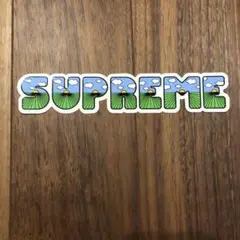 【激安価格】supreme ステッカー the shit シュプリーム 人気商品