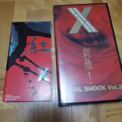 X JAPAN 破滅に向かって VHS - メルカリ