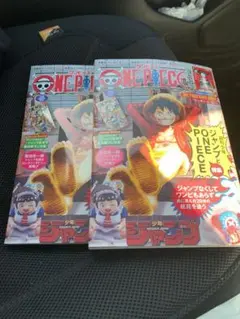 ワンピースマガジン 20号 付録 ルフィ プロモカード