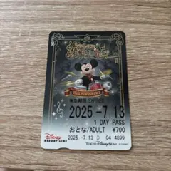 ディズニー リゾートライン フリーきっぷ ビッグバンドビート BBB 使用済み