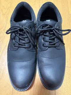 CEDAR CREST ブラック 防水シューズ