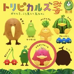 トリピカルズみっくす ドラゴンフルーツのサムネイル