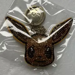 ポケットモンスター　キラキライーブイ